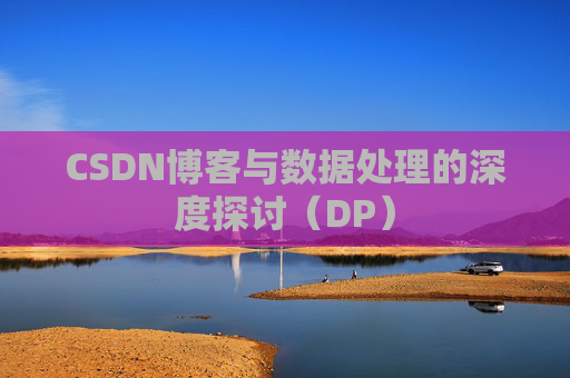 CSDN博客与数据处理的深度探讨（DP）